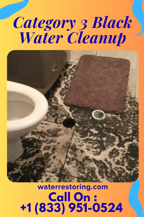 Category 3 Black Water Cleanup in Newtown, IN