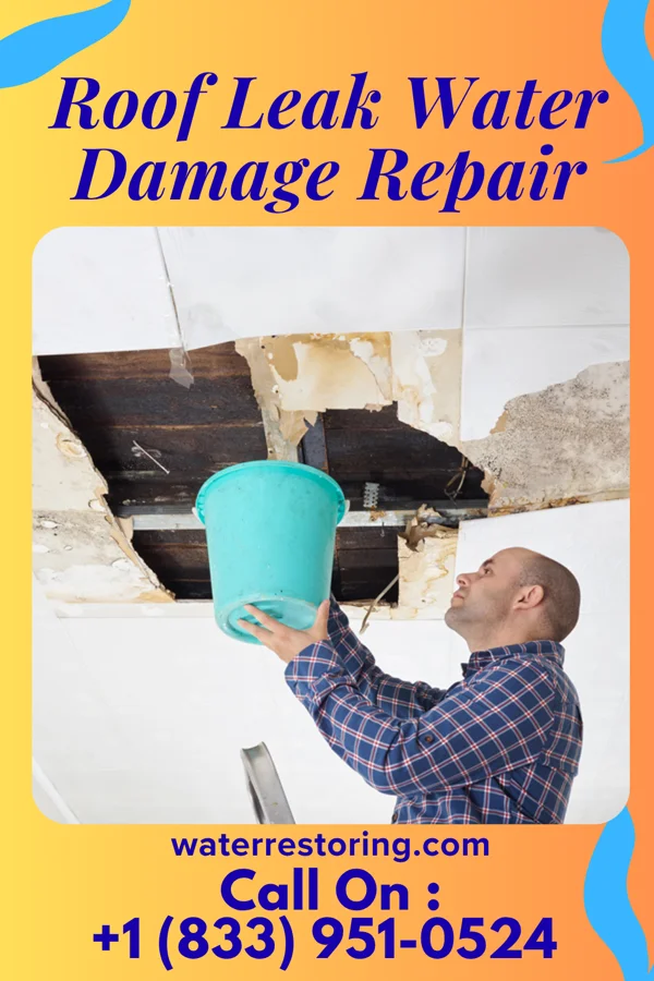 Roof Leak Water Damage Repair in Newtown, IN