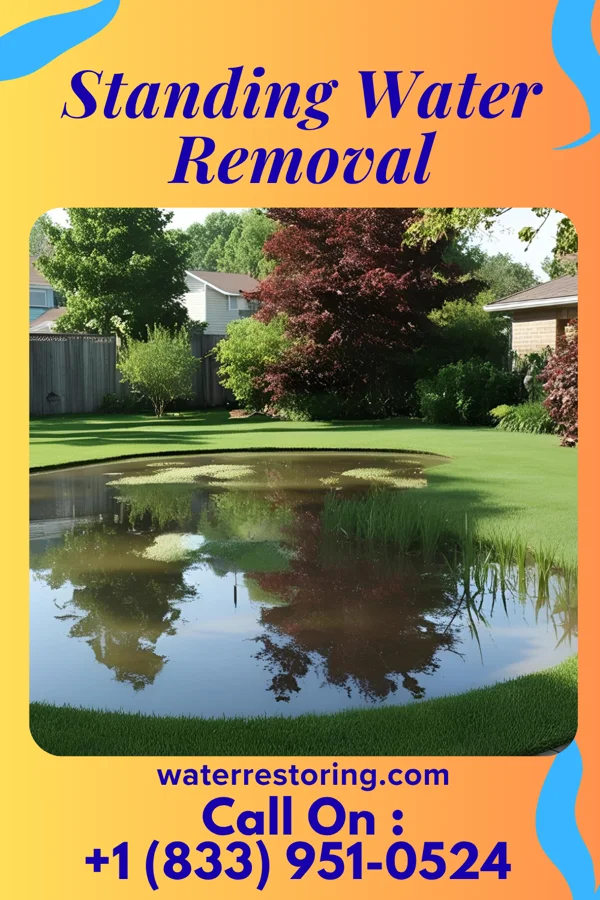 Standing Water Removal in Newtown, IN